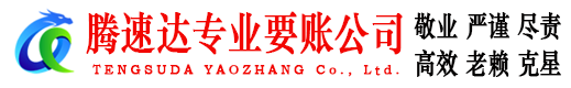 秦淮腾速达清债公司